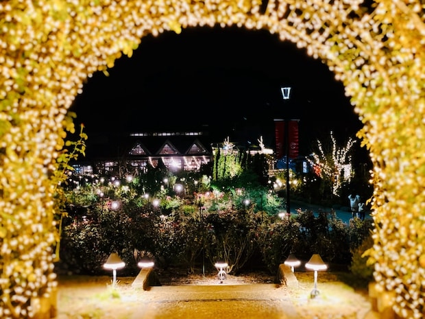 【いばらきフラワーパーク】Moonlight Rose Garden2025の見どころ情報！