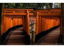 【2025】関西の人気観光スポットTOP50！旅行好きが行っている観光地ランキング