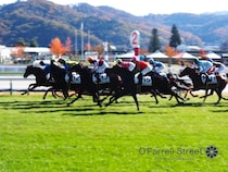 新鮮な発見と驚きで心躍る【福島競馬場】