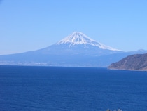 一度は訪れたい「伊豆」を代表する景勝地11選！