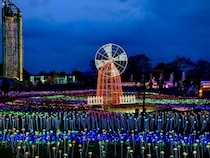 【千葉・マザー牧場】マザーイルミ2025-2026！見どころ＆お得情報！