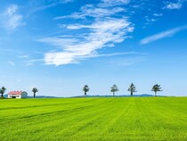 【北海道】夏のおすすめ観光スポット32選！夏の絶景に出会える観光地特集