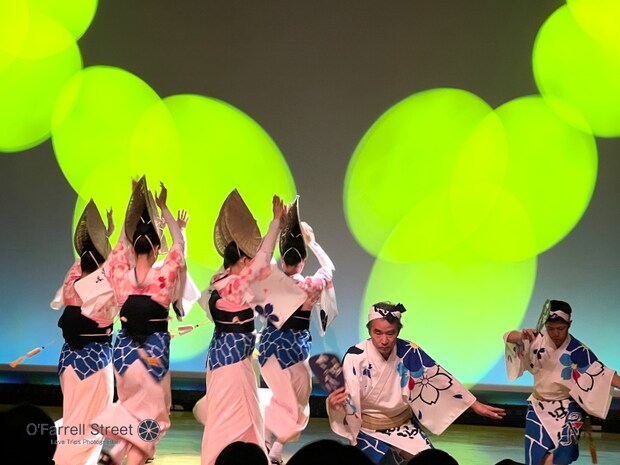 【徳島】阿波おどり会館では「踊らにゃ損々♪」