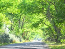 【ナゴルノ・カラバフ(アルツァフ共和国)】未承認国家ってどんな国？日本も承認していないコーカサス山奥の独立国