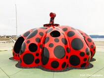 【香川】これでバッチリ！アートを巡る直島観光モデルコース