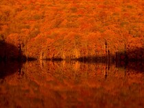 10月の国内おすすめ旅行先31選！秋の連休に行きたい観光地特集