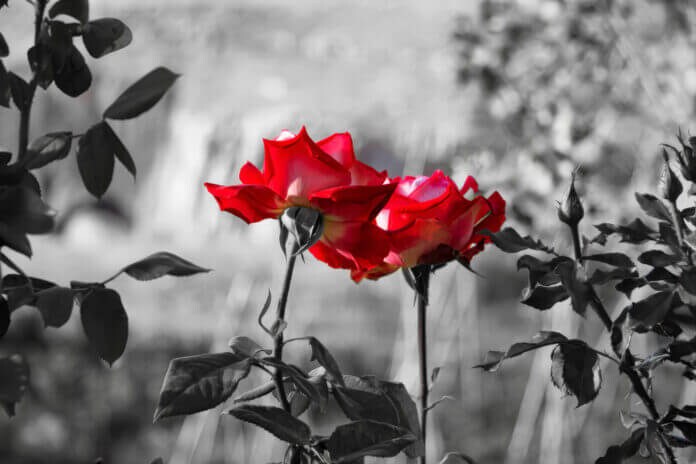 苦手な男性の特徴①ネガティブ思考