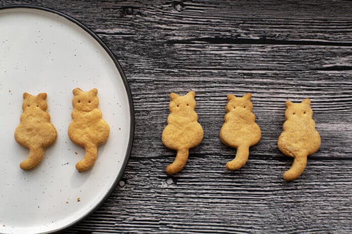 勝手まかり通る猫女になれば恋愛はバラ色？