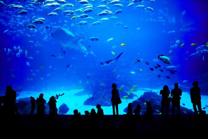 動物園や水族館