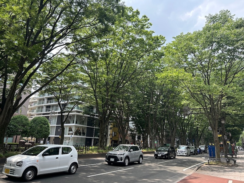 新緑のケヤキ並木が美しい定禅寺通り。こちらを望むビルの2階に2023年に移転