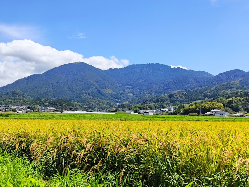 篠栗ののどかな風景に、地域で親しまれる「米の山（山）」が佇む。