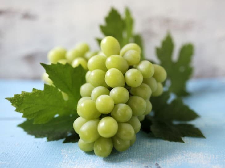 色艶はもちろん、糖度の高さも人気の「シャインマスカット」