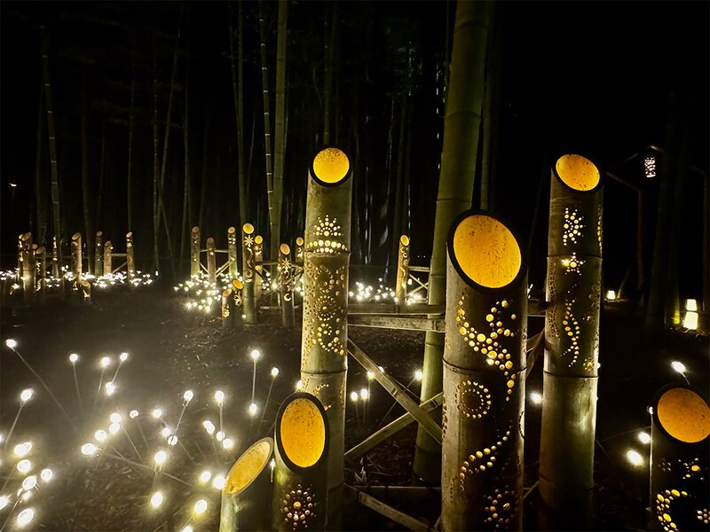 さまざまな趣向を凝らした竹と光のアートが間近で楽しめる