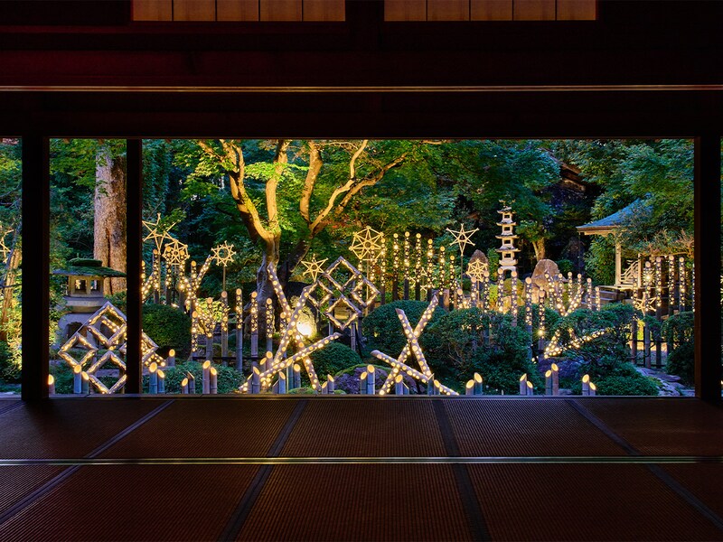 椿寿荘の邸内から望む、ライトアップされた枯山水様式の庭園