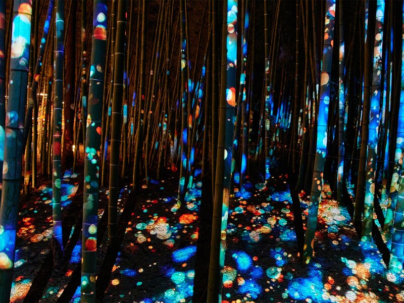 プロジェクションマッピングも実施。幻想的な竹林風景に圧倒される