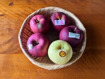 BEAMSの名物ディレクターが教える青森でおいしいリンゴを買う方法。ラーメンや喫茶店の楽しみ方も【フーテンの寅みやげ】