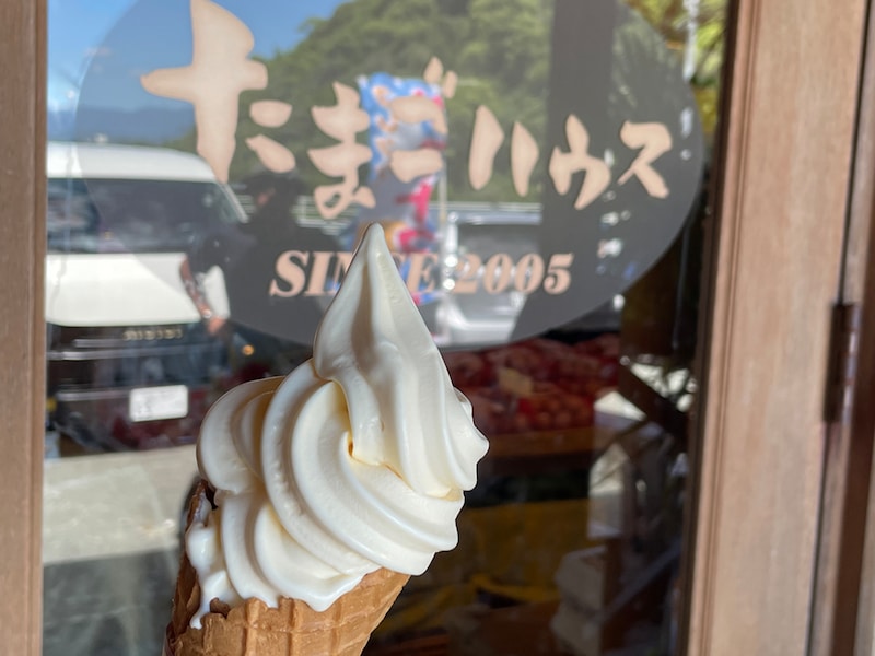 夏季限定！牛乳も卵も濃厚でこの誘惑には勝てません