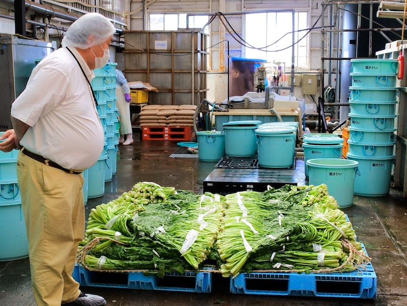 製造風景などもご案内いただきました