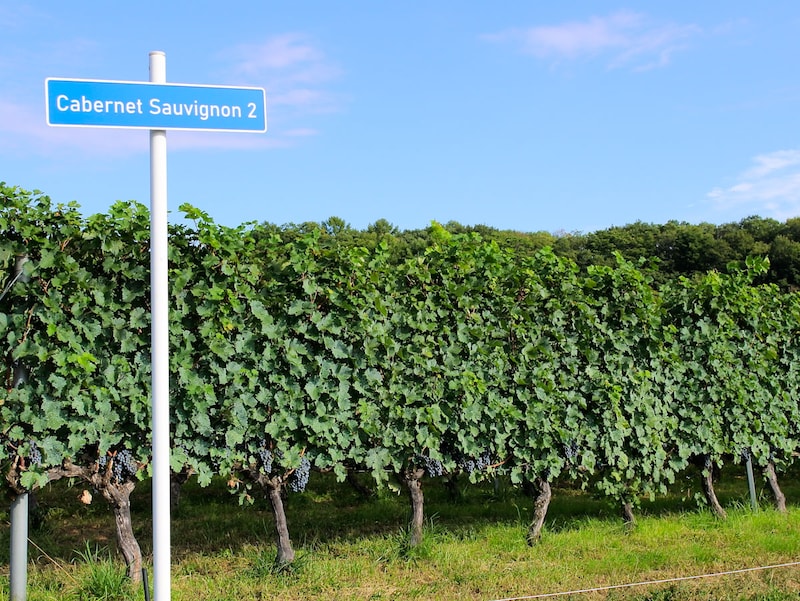 まるでフランスのような景色