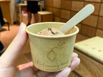 スイーツ好きが注目！無添加チョコレートのお店『ハミングバード』（富山）の自家製アイスクリーム
