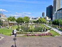 【大阪】中之島で過ごす大人の休日。バラ園、重要文化財、名物オムライスを巡る一日さんぽが素敵