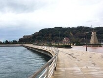 【ご当地酒場で一献！】日本酒と日本海の新鮮魚介。絶妙タッグに盃が止まらない件【福井・地魚料理まるさん屋】