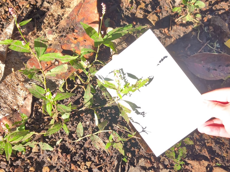 白紙で行う「サンキャッチャー」は大人たちも夢中になりました