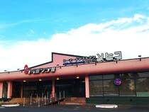 フラミンゴを眺めて料理を楽しむ。昭和から愛され続けるちょっとシュールなレストラン『メヒコ』に行ってきた