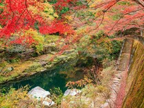 【紅葉と温泉スポット】岡山の紅葉の名所めぐりと温泉を楽しむ秋のお出かけ9選