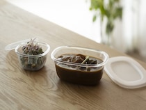 【脱・生活感】つくおきおかず容器をそのまま食卓へ。「うつわにもなる保存容器」がおしゃれで優秀！