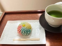 【千葉の手みやげ】美しさは国宝級!?市川市の老舗『大門岡埜』の手作り生菓子が感動もの