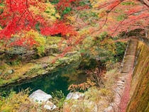 【紅葉と温泉スポット】岡山の紅葉の名所めぐりと温泉を楽しむ秋のお出かけ9選