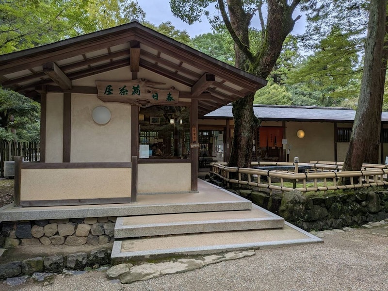 【奈良グルメ】神社も鹿も満喫できる。春日大社境内の老舗茶屋『春日荷茶屋』の魅力とは?