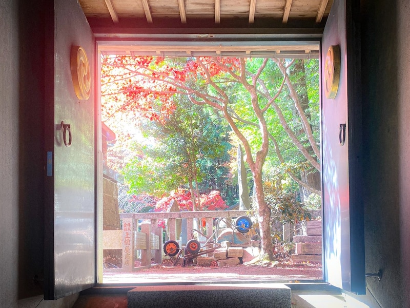 真っ赤に色づく紅葉は圧巻ですよ