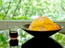 【東京スイーツ】京王プラザホテルのバーテンダーが作るマンゴー尽くしの「大人のかき氷」が絶品すぎる理由