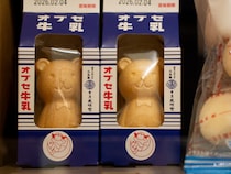 新潟のアンテナショップで発見！ オブセ牛乳と老舗和菓子が作った「くまさん最中」が可愛すぎる