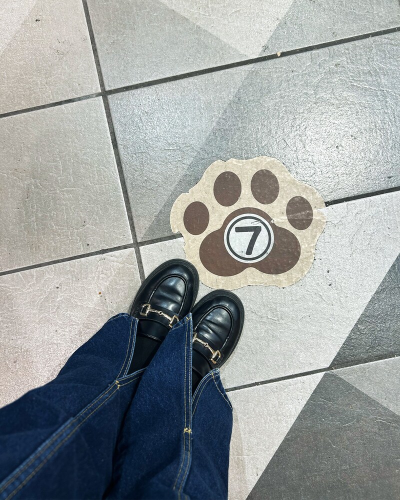 にゃんとも可愛らしい並び列の順番の立ち位置