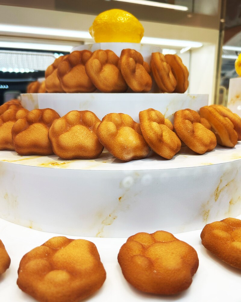 ネコシェフの人気商品のフィナンシェは、思わず見惚れる肉球の形