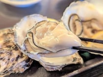 実は千葉は牡蠣の名産地！ 身が大きくてプリップリな「江戸前オイスター」がお取り寄せに最高な理由