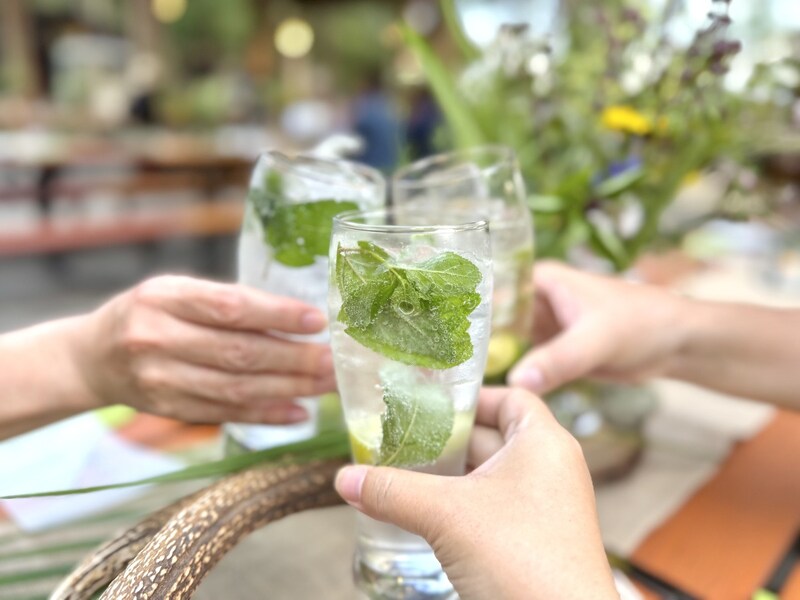 料理を待ちながら、摘みたてのミントたっぷりのモヒートで乾杯
