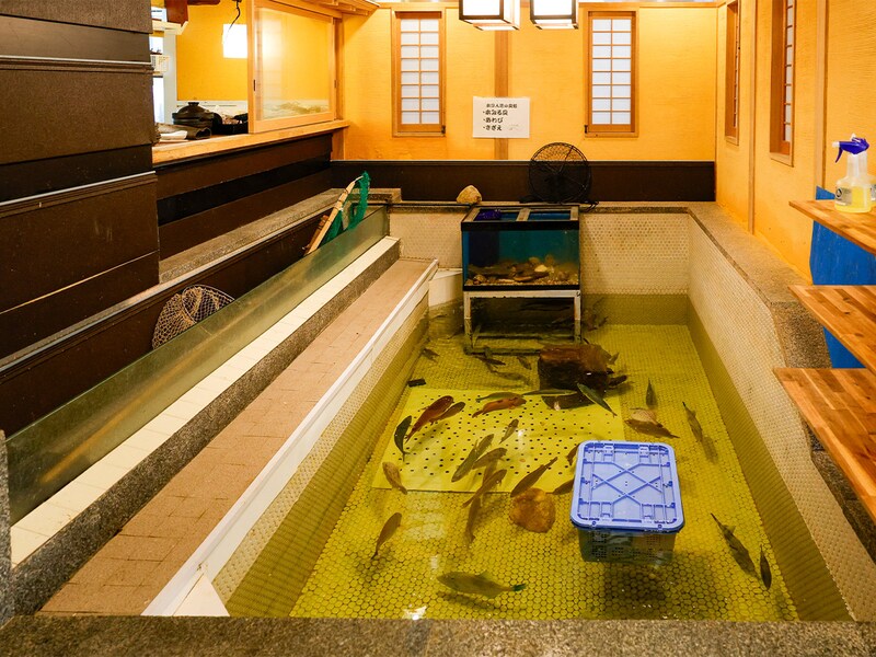 いけすには近海で獲れた白身魚などが悠々と泳いでいる