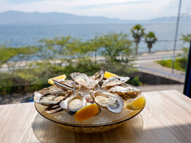 海辺の至るところで目にする牡蠣棚は江田島の風物詩