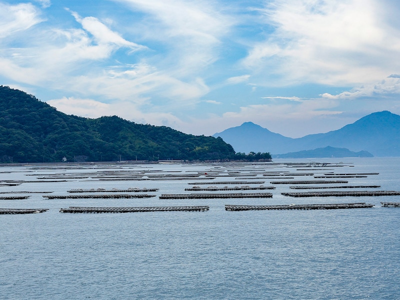 江田島の海辺にはいたるところに牡蠣棚が