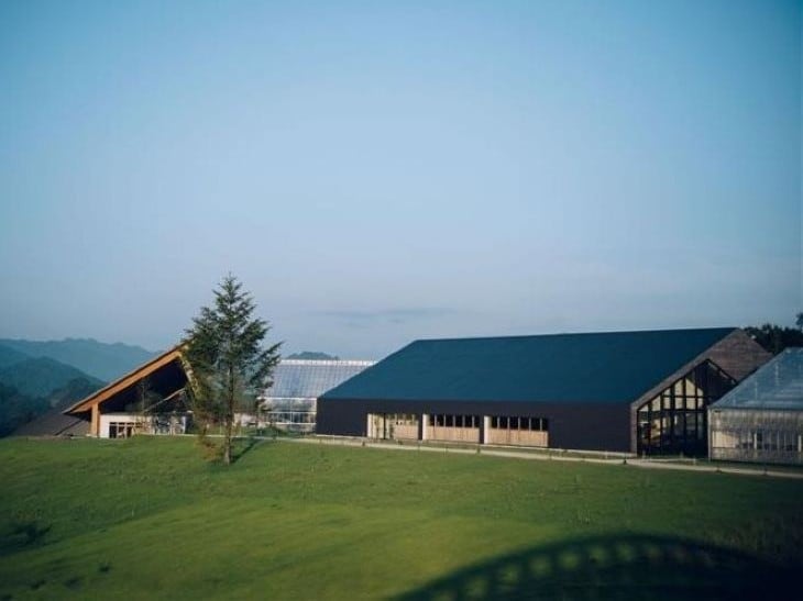 大自然に囲まれた『VISON』では、本格グルメやオーガニックカフェのほか、サウナ、アート、アウトドア体験までできる多種多様な設備がある