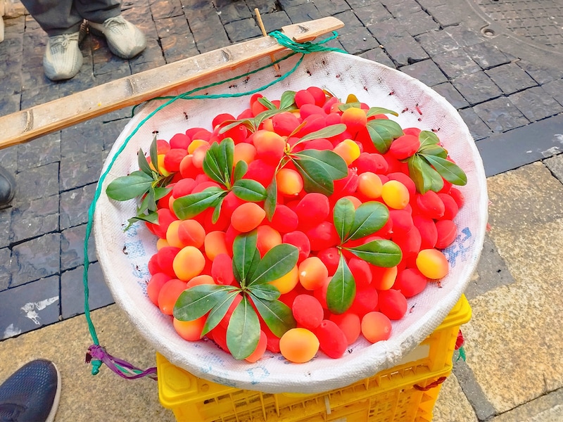 食べてはならぬバカの食い物⁉ 中国の8D魔幻都市・重慶で出会った謎フルーツを食べてみた