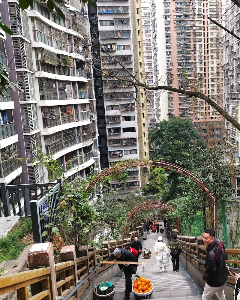 重慶にはパンダに会える動物園や、夜景クルーズ、三国志の史跡、火鍋ストリートなどの観光スポットもあるが、真の魅力は街の構造！ 過酷な階段の横には、有料エレベーターが設置されている