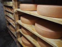 ハードタイプチーズ「幸」に隠された情熱とは？ ｜北海道チーズ見聞録