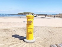 【宮崎ひとり旅プラン】絶景＆パワースポットに絶品グルメも。宮崎県を丸ごと楽しむ「一日観光モデルコース」