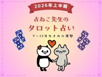 【保存版】占ねこが占う、2026年上半期あなたの運勢（7月・8月・9月・10月・11月・12月生まれ）