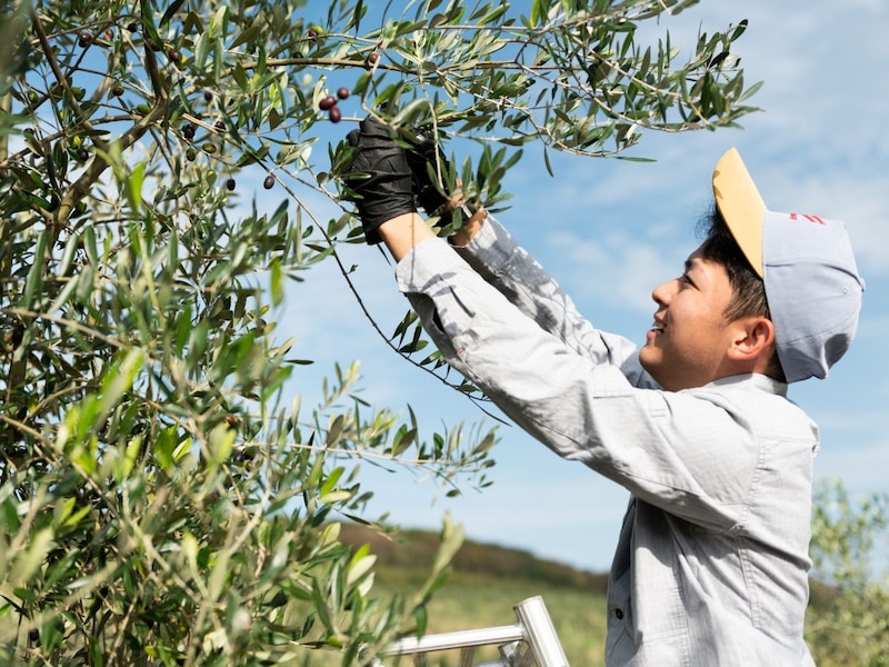 【感動のお取り寄せ】リピート必至。大分「国東クリーブガーデン」の至極のオリーブオイル
